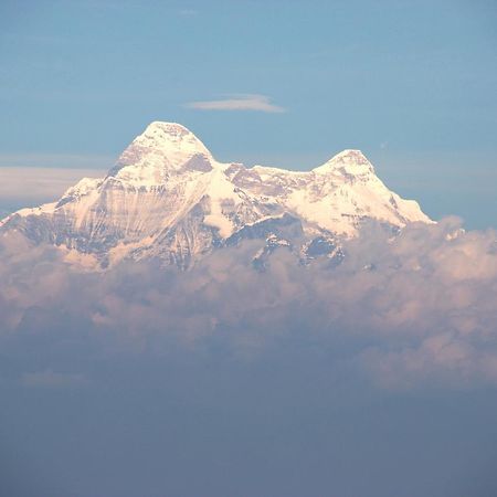 Nest And Hives Motiapathar/Mukteshwar Hotel ภายนอก รูปภาพ